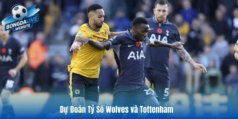 Dự đoán tỷ số Wolves và Tottenham