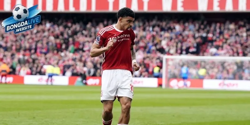 Gibbs-White Bongdalive