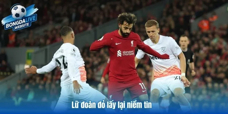 Lữ đoàn đỏ lấy lại niềm tin