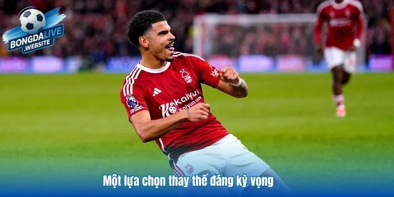 Một lựa chọn thay thế đáng kỳ vọng