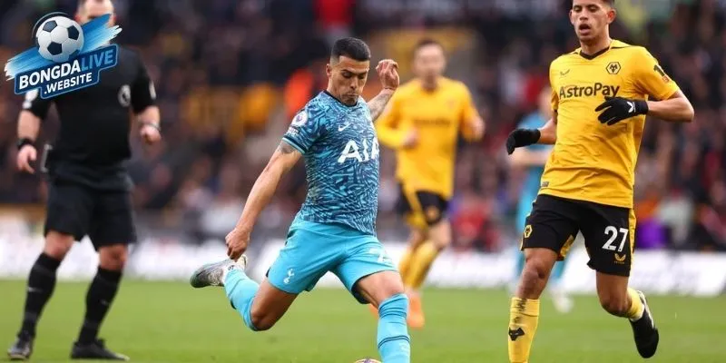 Nhận định Wolves và Tottenham